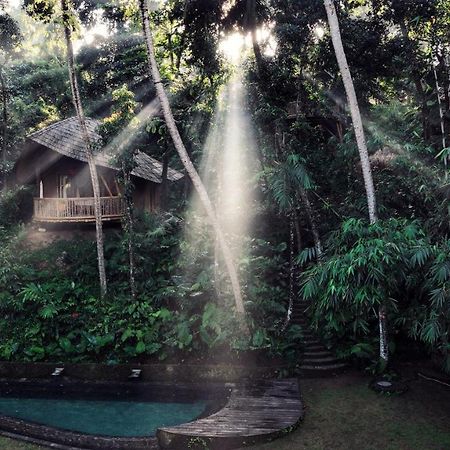 Bamboo Turtles Ecolodge Ubud Exterior foto