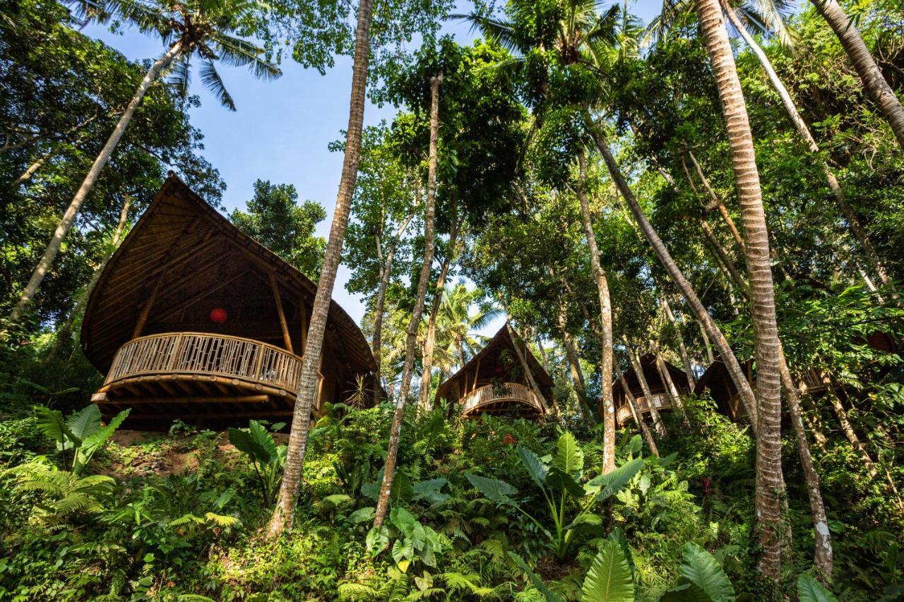 Bamboo Turtles Ecolodge Ubud Exterior foto