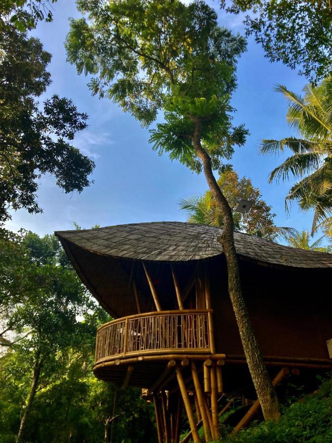 Bamboo Turtles Ecolodge Ubud Exterior foto